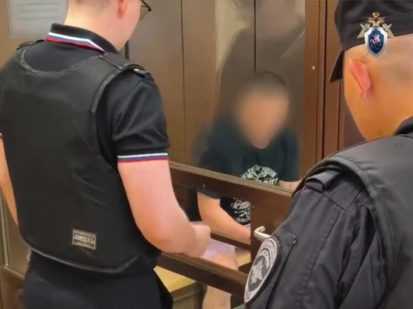 Выяснились новые детали трагедии в Домодедове, где муж на глазах детей зарезал свою супругу