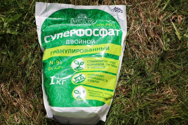 Луковичные будут цвести пышнее: биолог рассказал, какие удобрения нужны растениям в разное время года Луковичные будут цвести пышнее: биолог рассказал, какие удобрения нужны растениям в разное время года