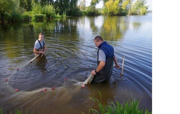Смотрите, кто приплыл: в Волге завелись морские рыбы