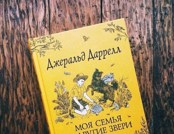 7 уютных книг для осени: истории, с которыми приятно провести дождливый вечер 7 уютных книг для осени: истории, с которыми приятно провести дождливый вечер