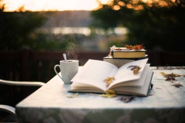 7 уютных книг для осени: истории, с которыми приятно провести дождливый вечер 7 уютных книг для осени: истории, с которыми приятно провести дождливый вечер