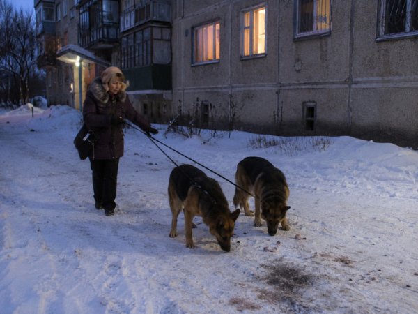 Суд закрыл дело хабаровской убийцы-людоедки Софьи Жуковой без признания её вины