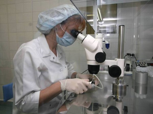 Ученые работают над продлением жизни до 150 лет