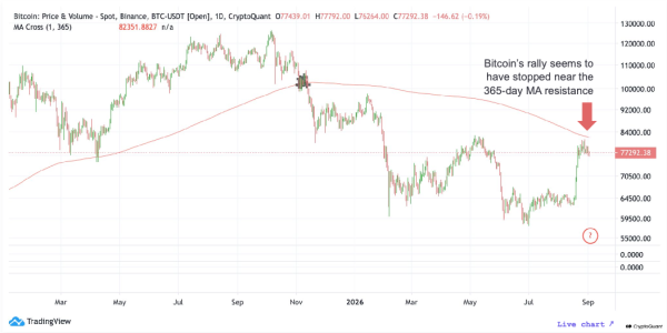 Биткоин-ETF сообщают о крупнейшем приросте с января, когда BTC достигает $80 000