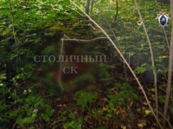 Убийца подруги в московском парке за 13 лет стал многодетным отцом