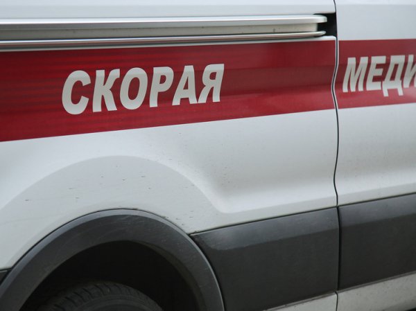 В Москве 72-летний пенсионер получил тяжелые травмы во время сбора яблок
